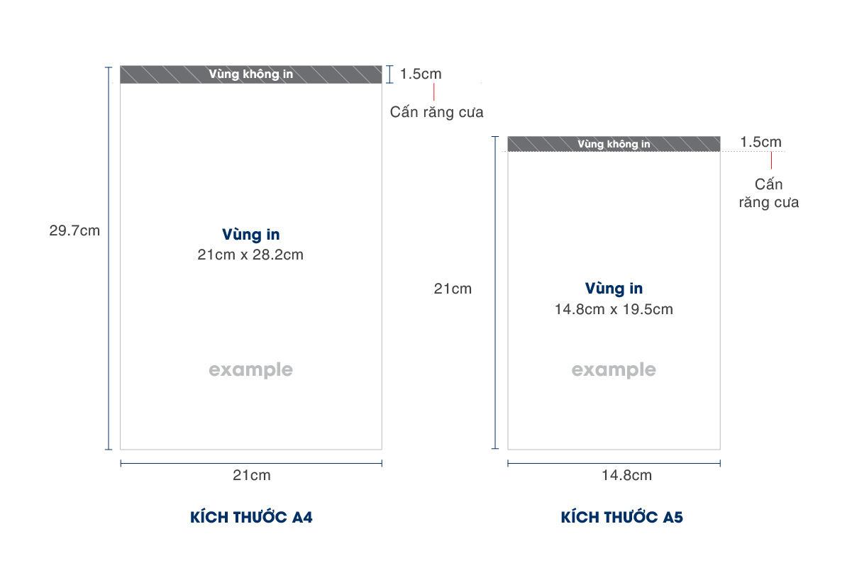bieu-mau-carbonless-3-lien-3
